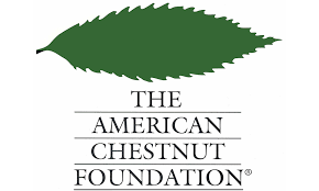 Image result for Wood Green A F S Association