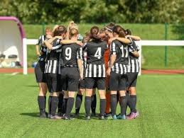 Image result for Warsash Wasps Sports & Football Club