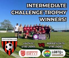 Image result for Louth United Football Club