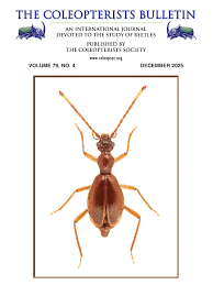 Image result for Coleoptera Curculionoidea