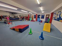 Image result for Harlequins Gymnastics Club
