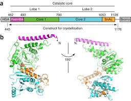 Image result for SN2032