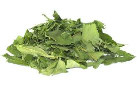 Attēlu rezultāti vaicājumam “Allium ursinum fruit”