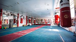Image result for Islington Chessboxing Club