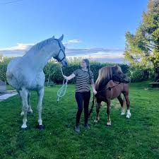 Image result for Beechwood Riding School