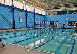 Image result for Ludlow Swimming Club
