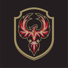 Image result for Woking Phoenix Football Club