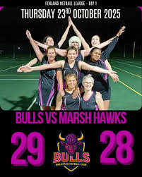 Image result for Brampton Royal Oak Netball Team