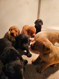 Image result for Farnley Tyas  BC