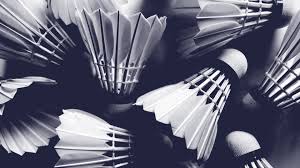 Image result for Christleton Badminton Club