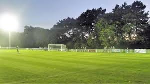 Image result for Welwyn Garden City Panshanger Football Club