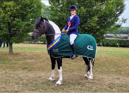 Image result for Chobham and District Riding Club
