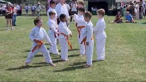 Image result for Waltham Abbey Shotokan Karate Club