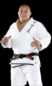 Image result for Plymouth Karate Club Kyokai
