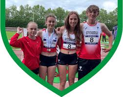 Image result for Deeside Aac