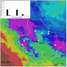 Attēlu rezultāti vaicājumam “Fissidens arnoldii sporophyte”