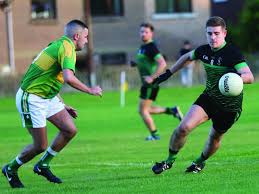 Image result for Patrick Sarsfield Gaelic Athletic Club