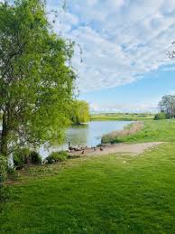 Image result for Wheatley Rufc