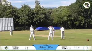 Image result for Lingfield Cricket Club