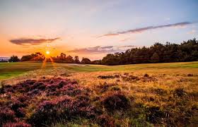 Image result for Stanedge Golf Club