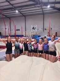 Image result for Abingdon Gymnastics Club