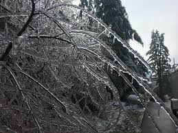 Image result for ice storm