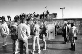 Attēlu rezultāti vaicājumam “Capsus ater imago”