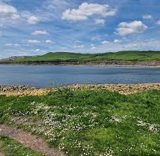 Image result for Woking Junior Snorkelling Club