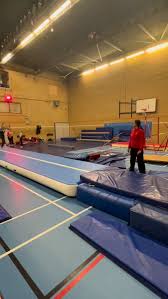 Image result for Epping Forest Elite Gymnastics Club