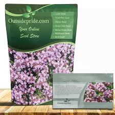 Attēlu rezultāti vaicājumam “Thymus pulegioides fruit”