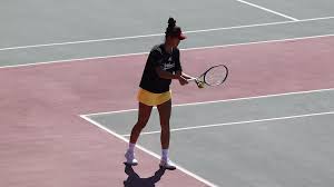 Image result for Tingley Tennis Club