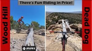 Image result for Woodhill Riding Club