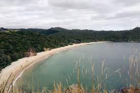 Image result for new chums beach