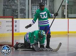 Image result for West Coast Wasps Skater Hockey Club