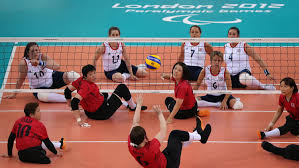 Image result for British Airways Volleyball Club
