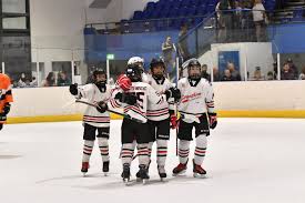 Image result for Streatham Youth Ice Hockey Club