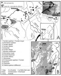 Image result for feuille-laurier-silex