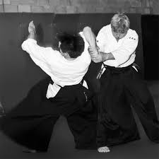 Image result for Newcastle Aikido Club