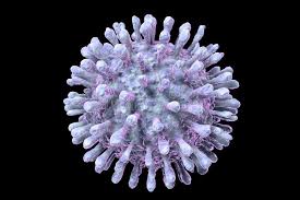 Image result for фотография вируса вич