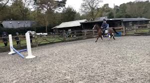 Image result for Elstead Riding Club