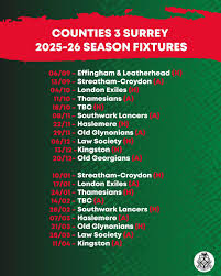 Image result for Effingham and Leatherhead Rfc