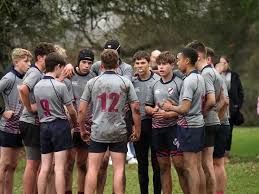 Image result for Diss Rugby Football Club