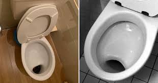 Image result for german toilet