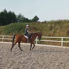 Image result for Dalkeith Park Equestrian Club