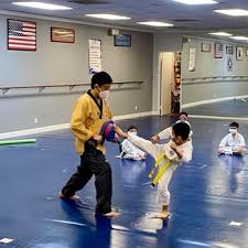 Image result for Absolute tae kwon do association
