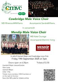 Image result for Llantwit Lions