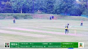 Image result for Ynysygerwn Cricket Club