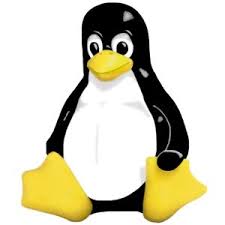 Image result for linux penguin