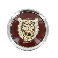 Image result for Amananth Purple 1998 Jaguar