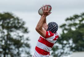 Image result for Alloa Rugby Football Club